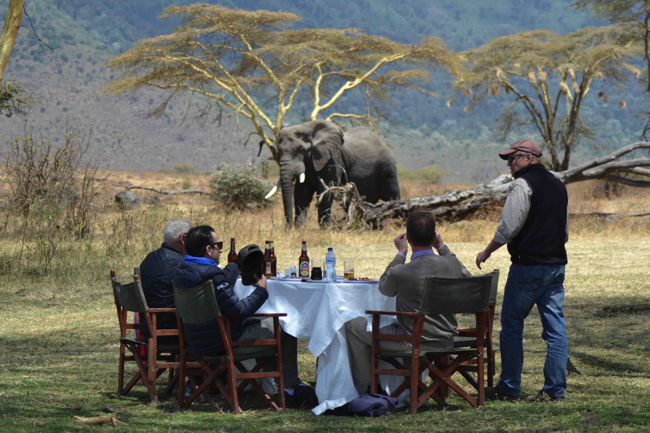 Almuerzo safari en Tanzania