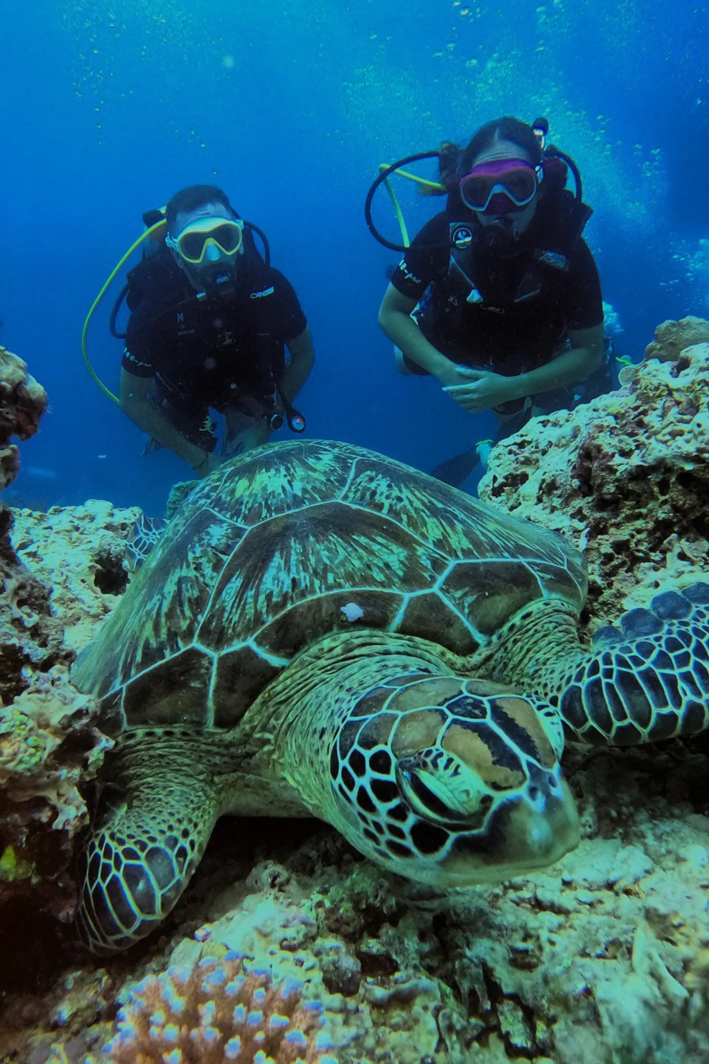 SUBMARINISMO CLIENTES