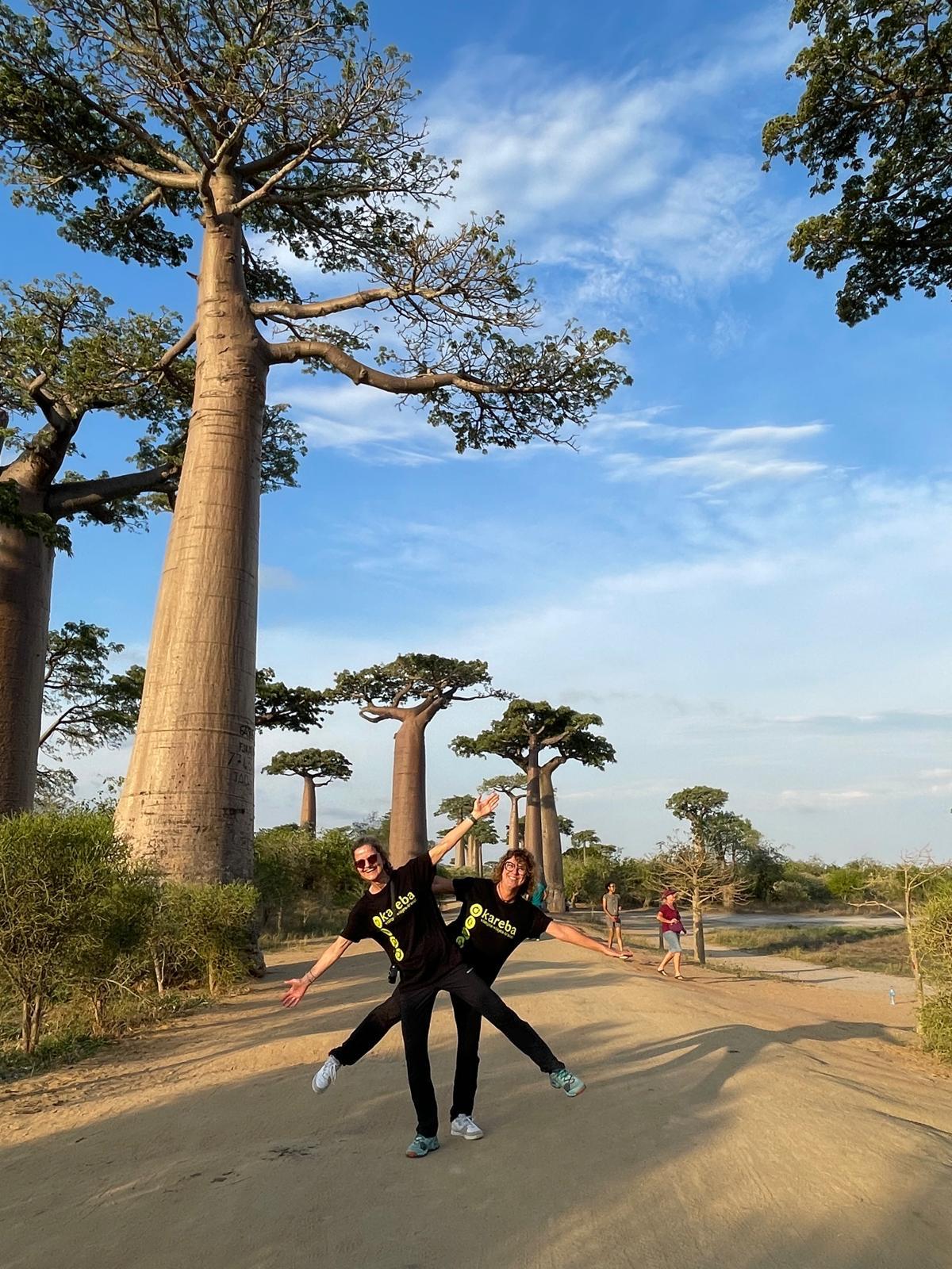 baobabs en madagascar