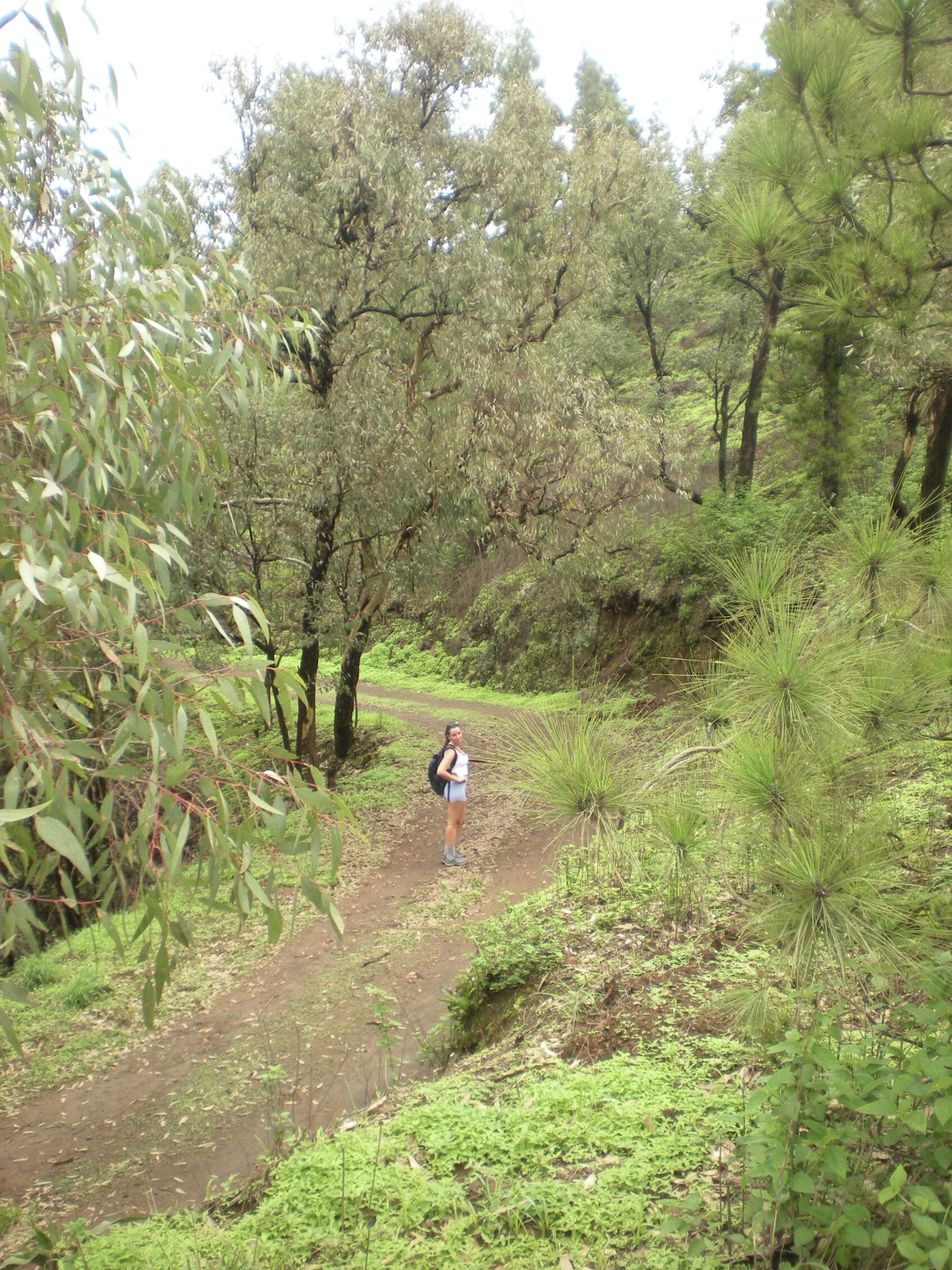 excursion por cabo verde