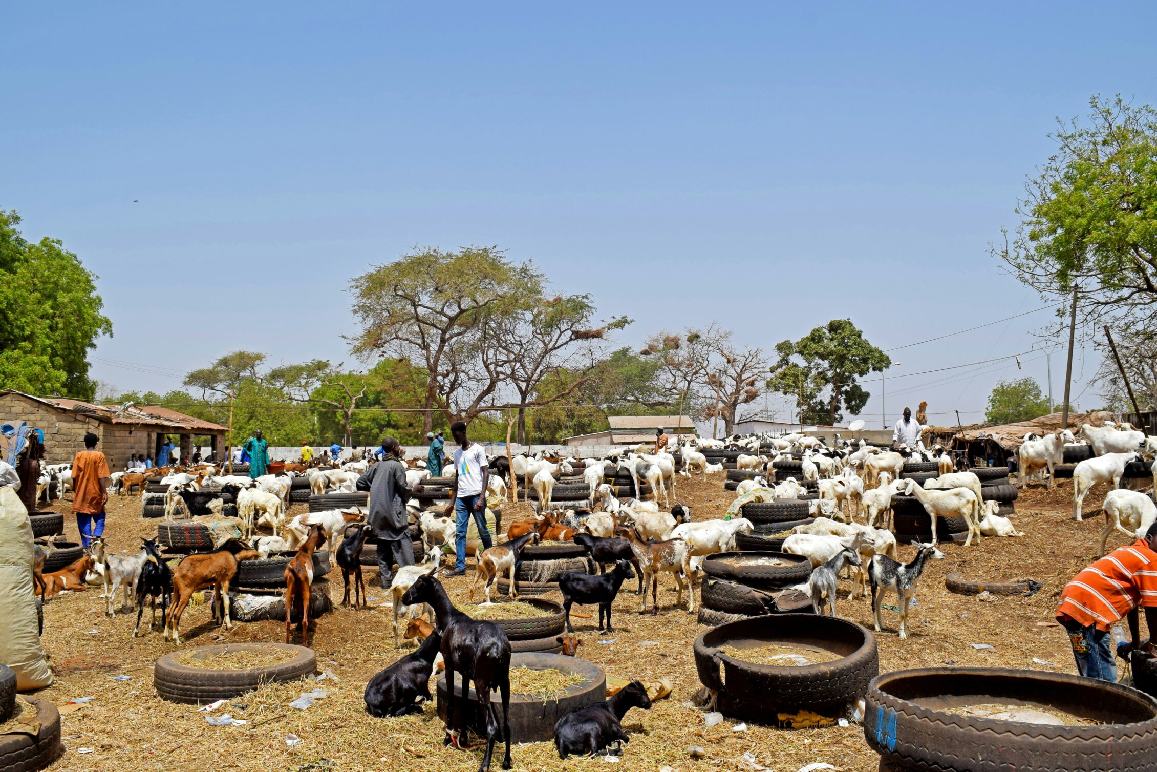 pueblo pesquero gambia