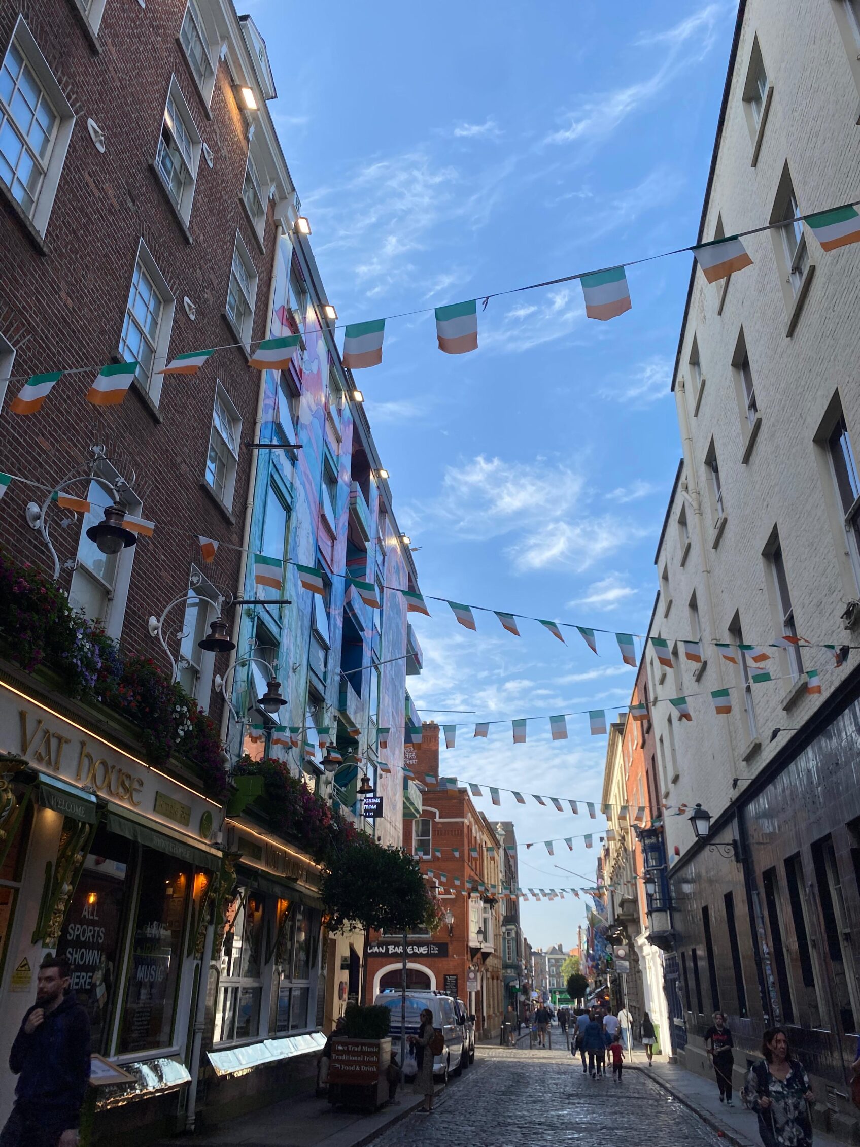temple bar dublin calle con banderas